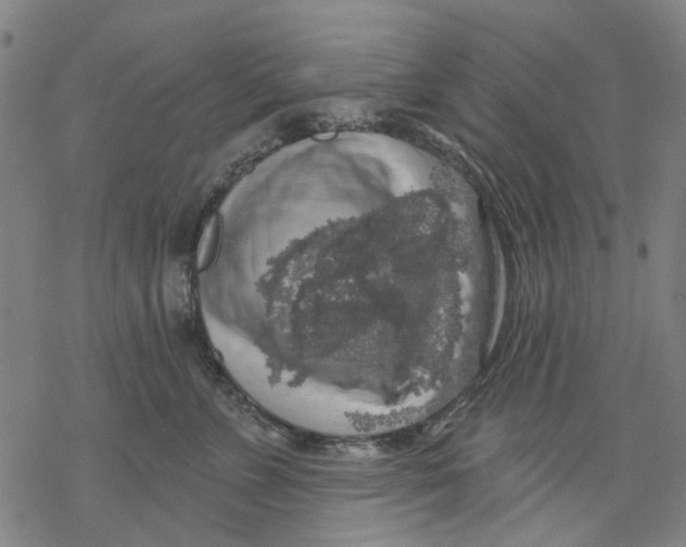 X0000068890715200605261846