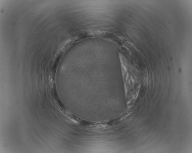 X0000068890716200605261846