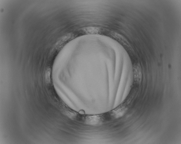 X0000068890717200605261846