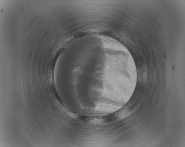 X0000068890718200605261846