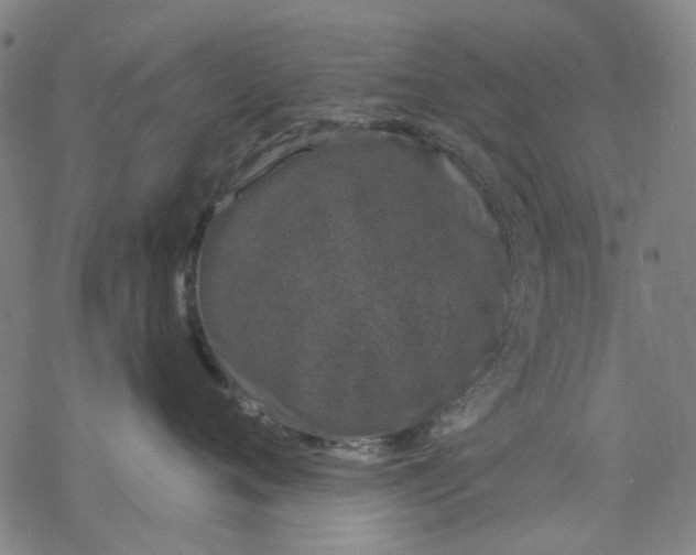 X0000068890720200605261846