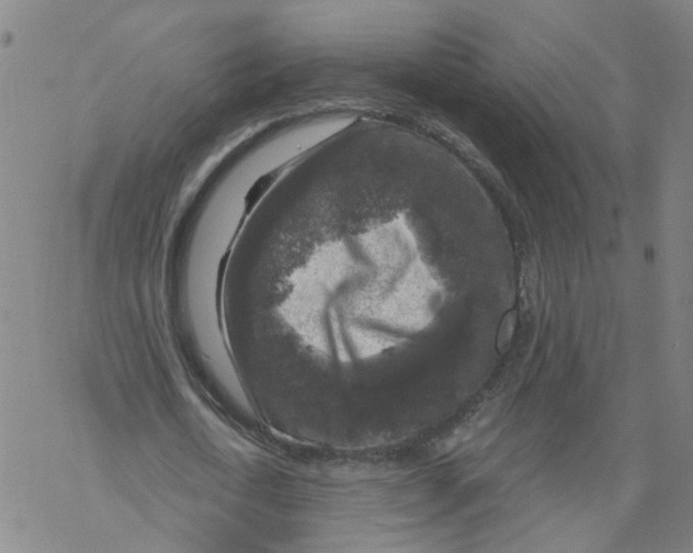 X0000068890722200605261845