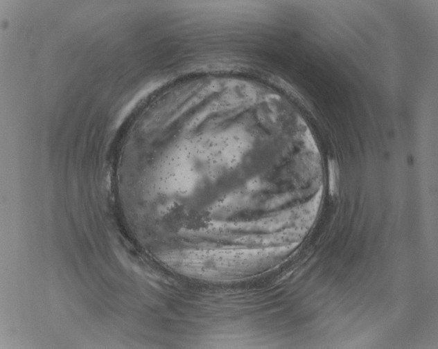 X0000068890723200605261845