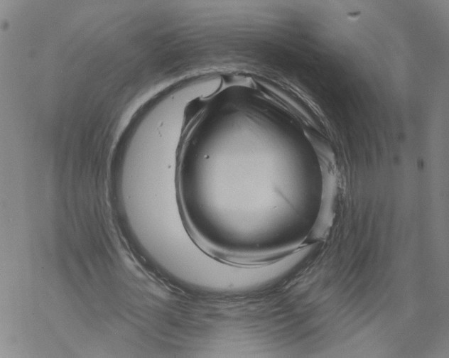 X0000068890724200605261845