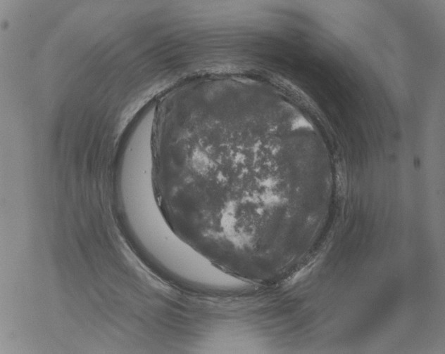 X0000068890725200605261845