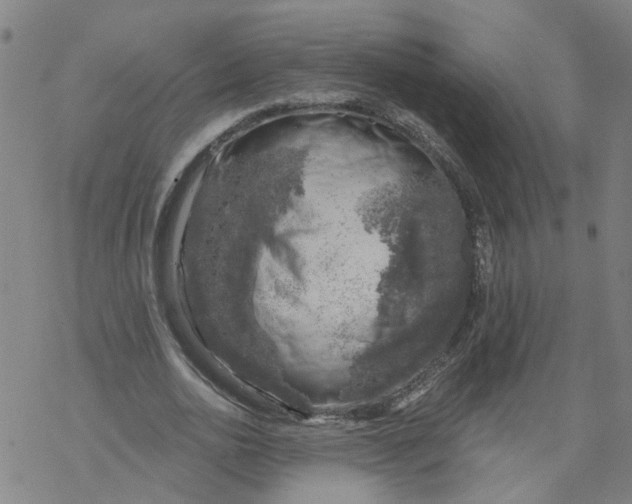 X0000068890726200605261845