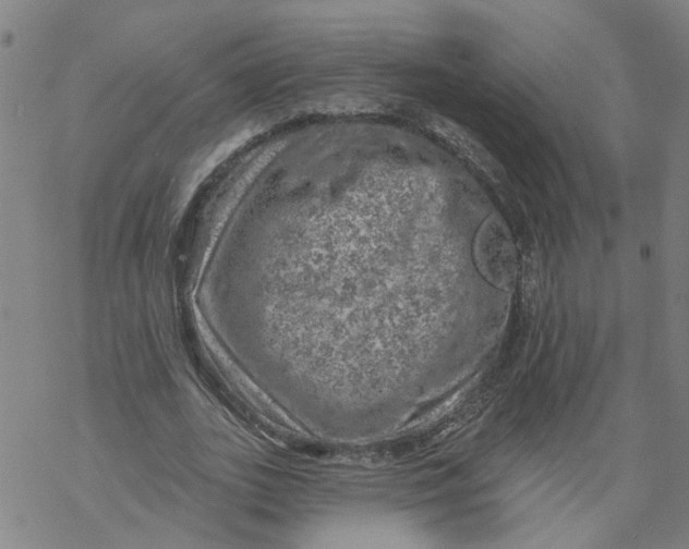 X0000068890727200605261845