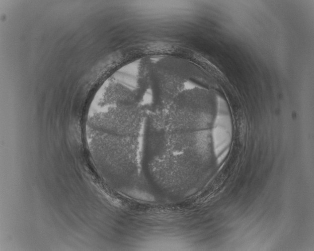 X0000068890729200605261845