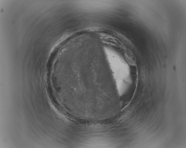 X0000068890730200605261845