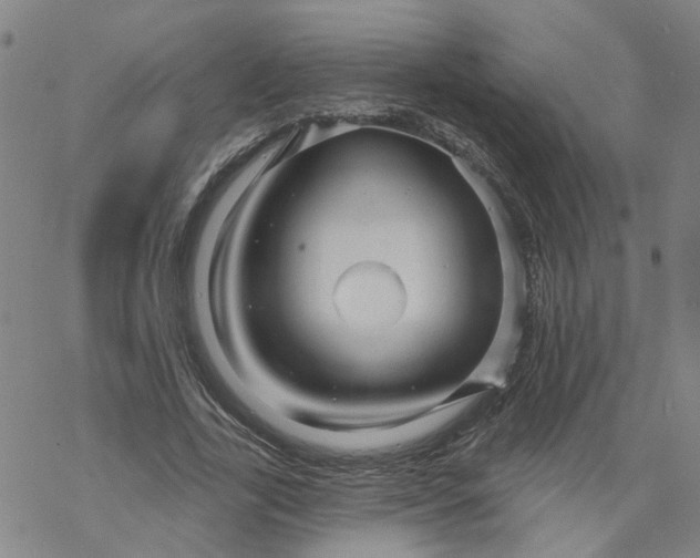 X0000068890731200605261845