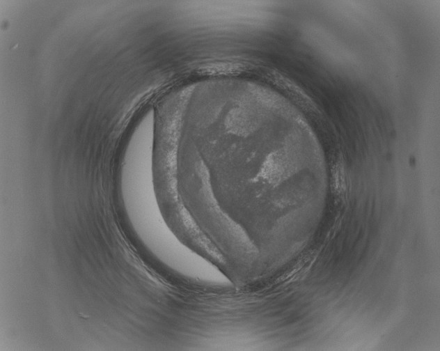 X0000068890733200605261845