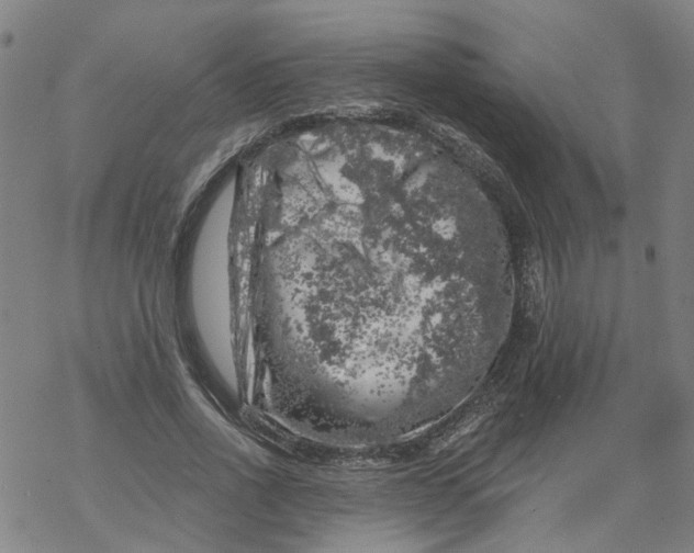 X0000068890734200605261845