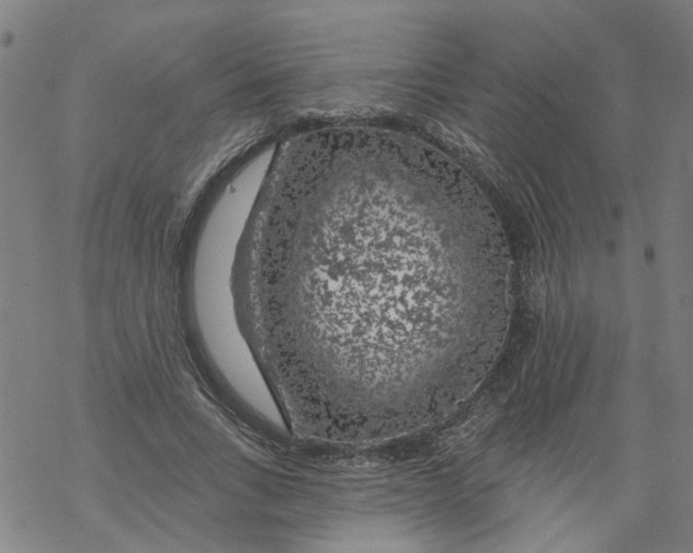 X0000068890735200605261845