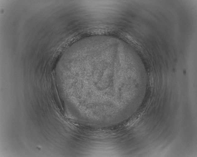 X0000068890737200605261845