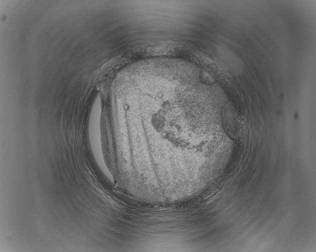 X0000068890741200605261845