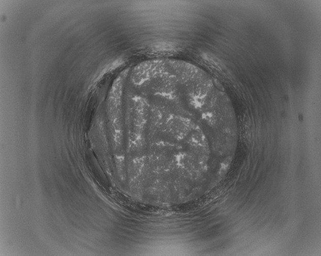 X0000068890742200605261845