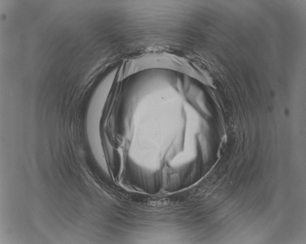 X0000068890744200605261845