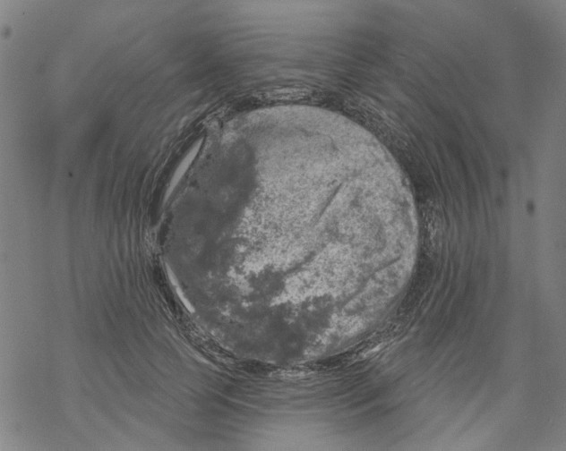 X0000068890745200605261845