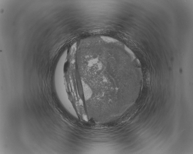 X0000068890746200605261845