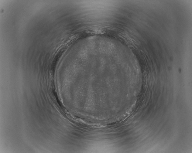 X0000068890747200605261845