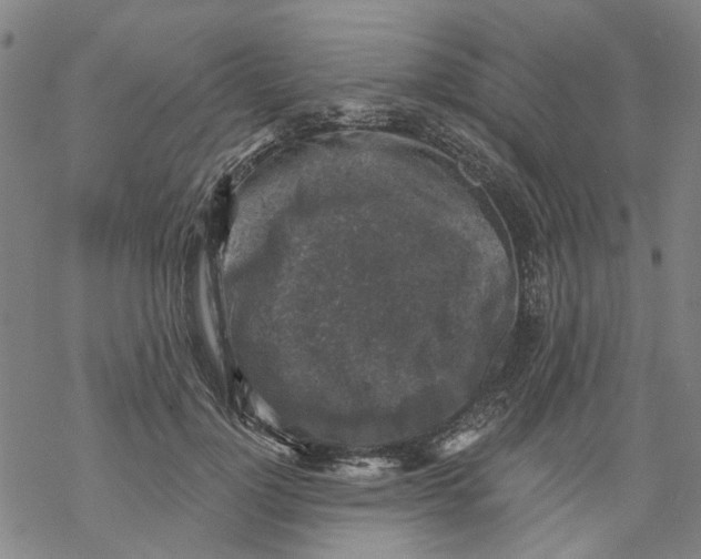 X0000068890748200605261845