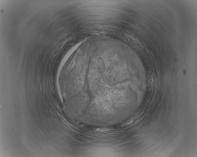 X0000068890749200605261845