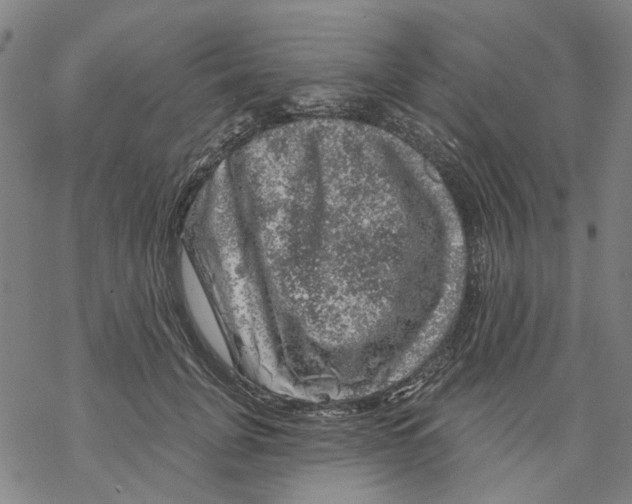 X0000068890751200605261845