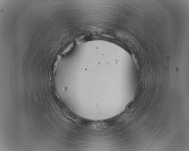 X0000068890752200605261845