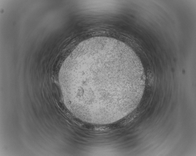 X0000068890753200605261845