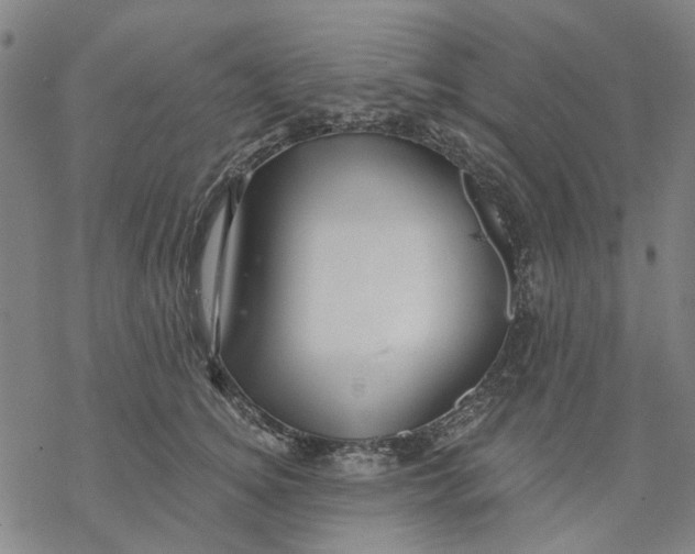 X0000068890756200605261845