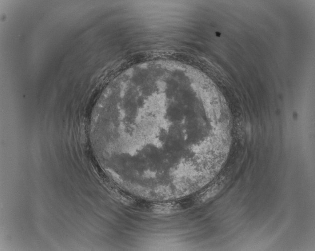 X0000068890757200605261845