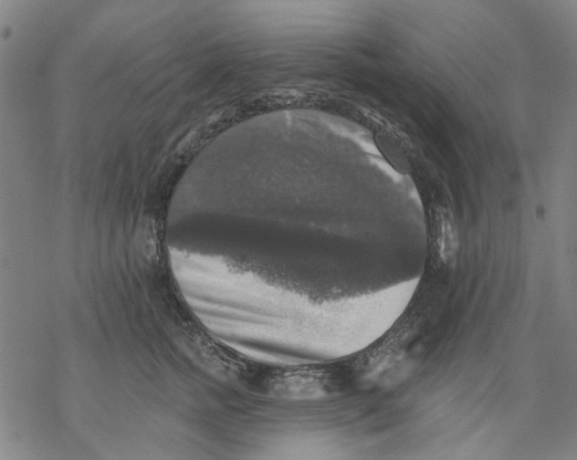 X0000068890758200605261845