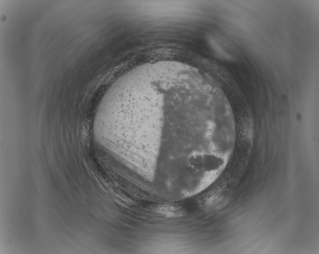 X0000068890759200605261845