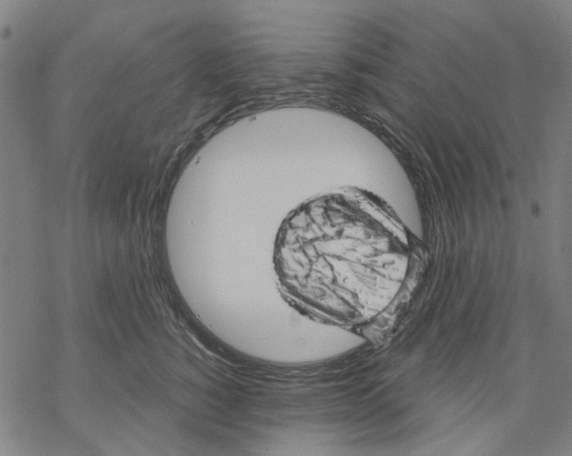 X0000068890760200605261845