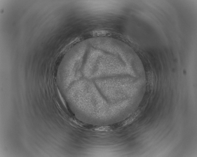 X0000068890761200605261845