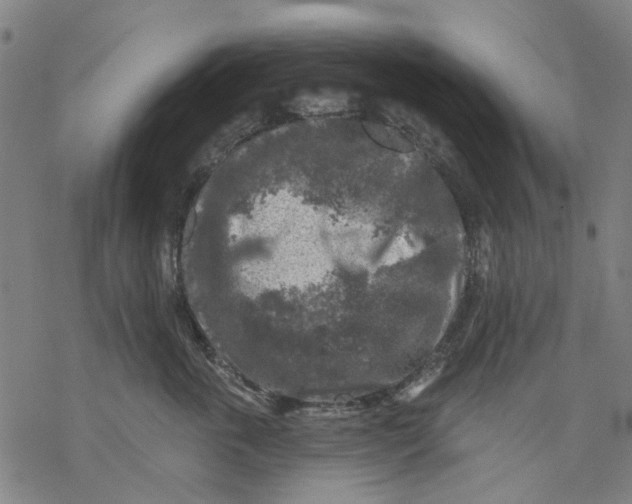 X0000068890763200605261845