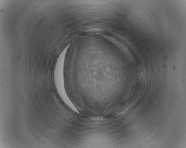 X0000068890767200605261846