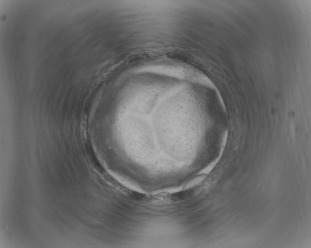 X0000068890768200605261846