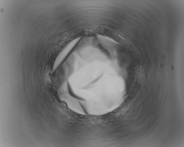 X0000068890770200605261845