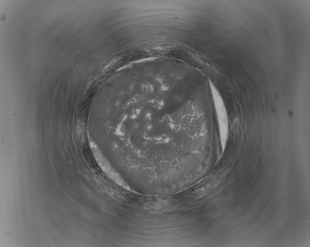 X0000068890772200605261845