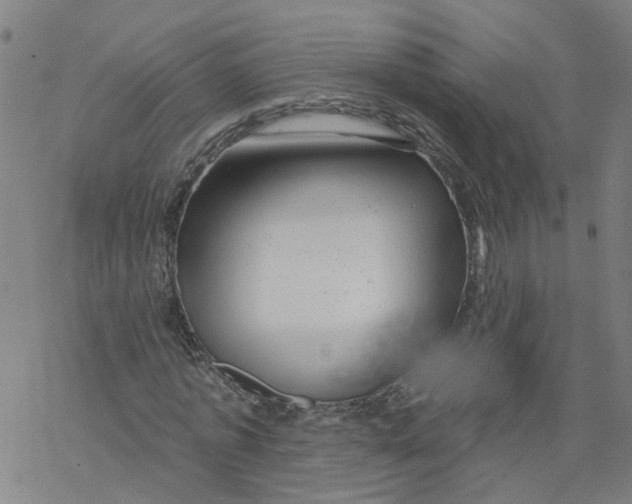 X0000068890773200605261845