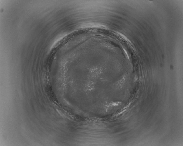 X0000068890775200605261845