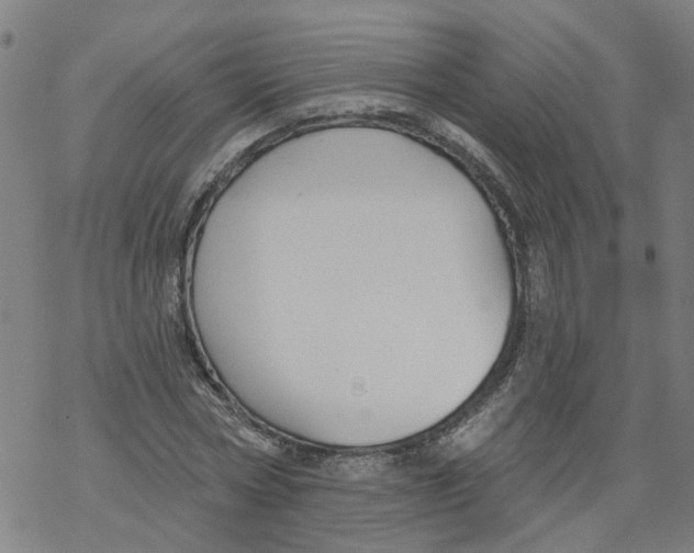 X0000068890778200605261845