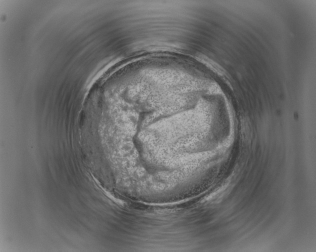 X0000068890782200605261845