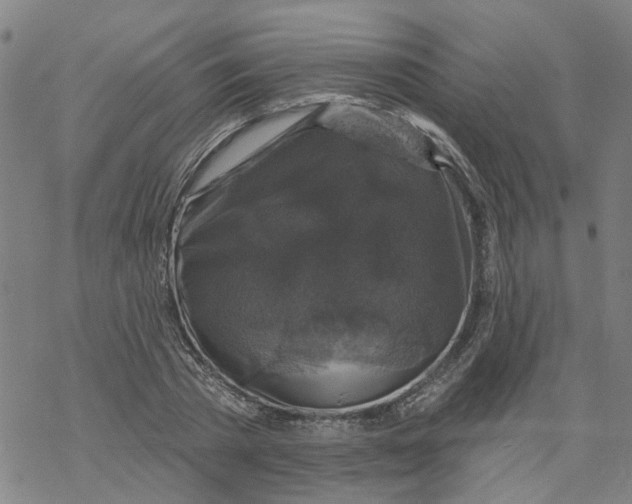 X0000068890785200605261845