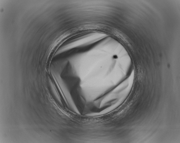 X0000068890786200605261844