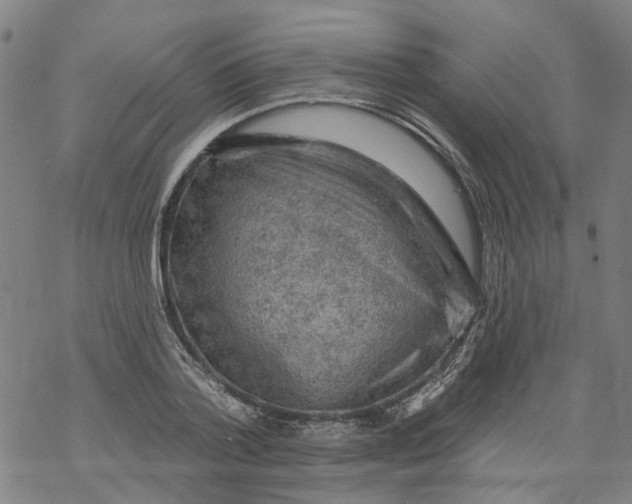 X0000068890788200605261844