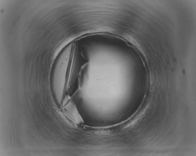 X0000068890789200605261844