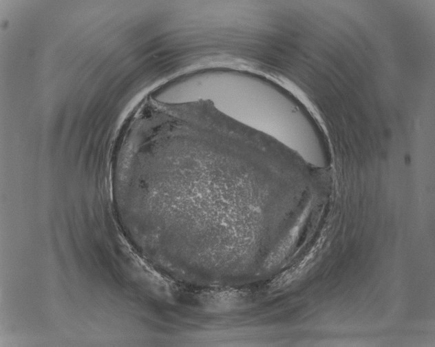 X0000068890791200605261844