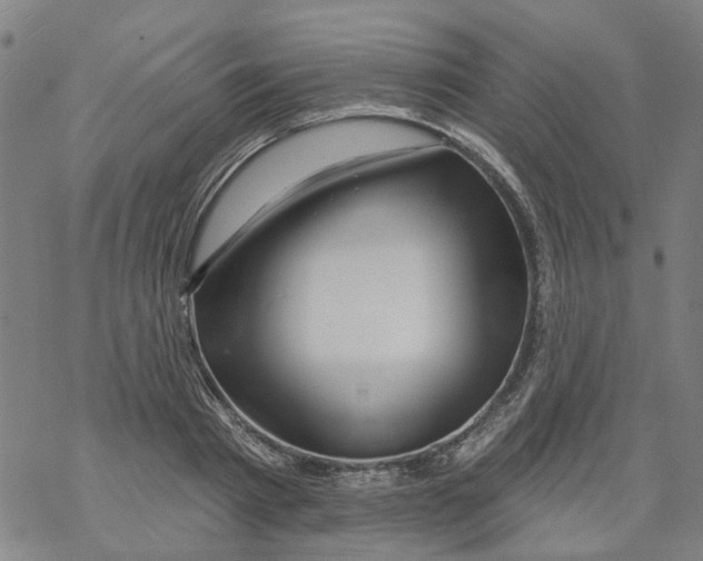 X0000068890793200605261844